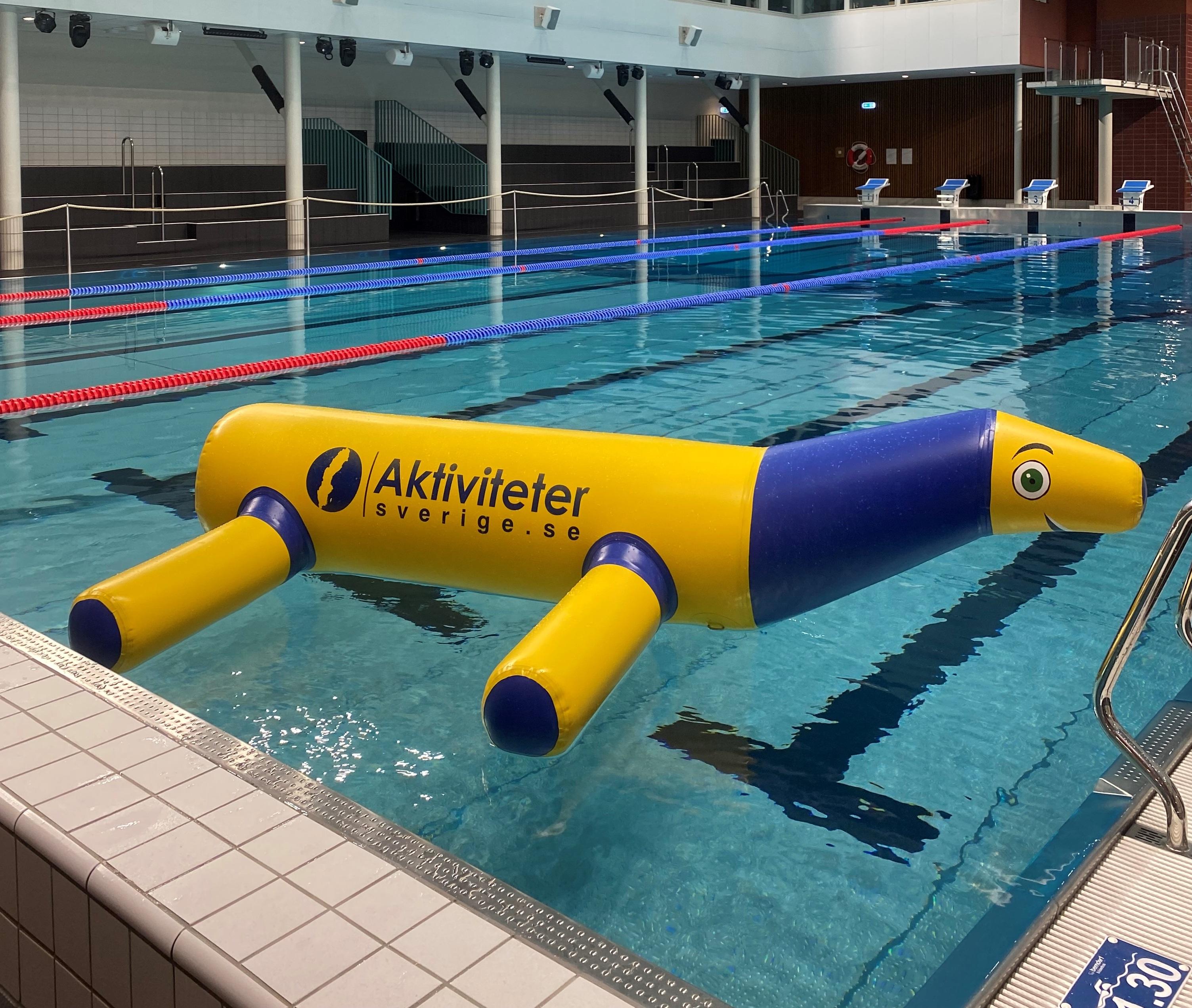 🐶 Pluto – vår egen badhund på vattnet!